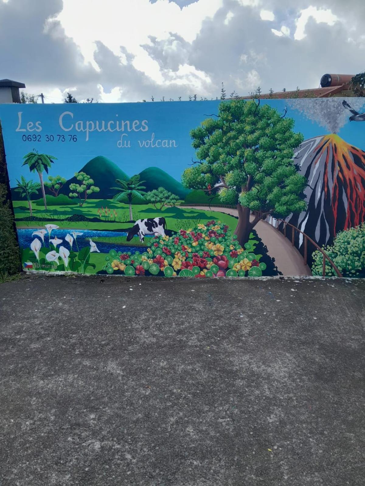 Bed and Breakfast Petite Chambre Vue Piton Des Neiges Les Capucines Du Volcan La Plaine des Cafres Exterior foto